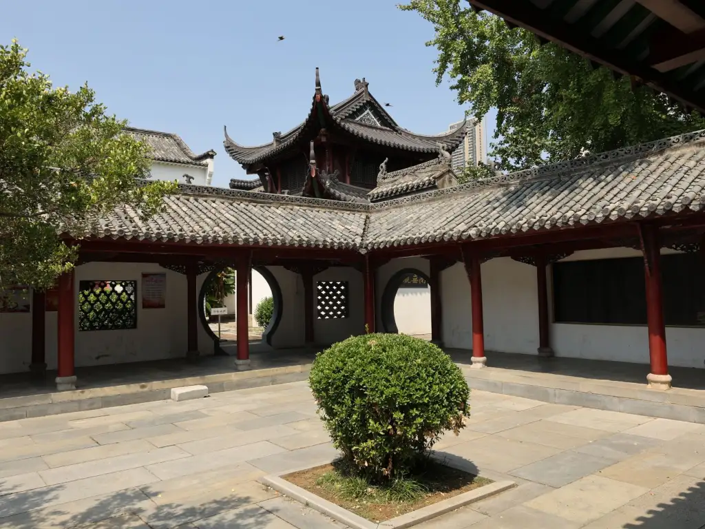 电动滑板车核心性能与适用出行场景详细介绍
